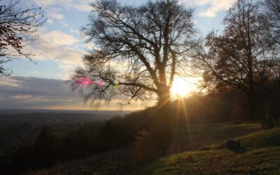 Top romantic Surrey view points to visit in a campervan