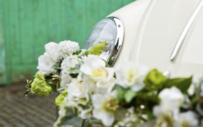 Flowers used to decorate our wedding VW campers and beetle